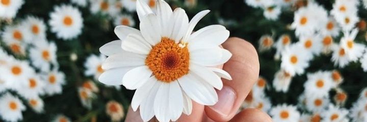 sannndra10's profile banner image