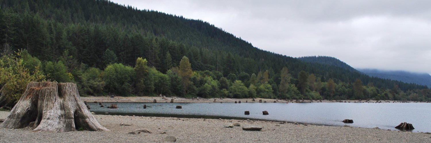 Asher C. Park banner