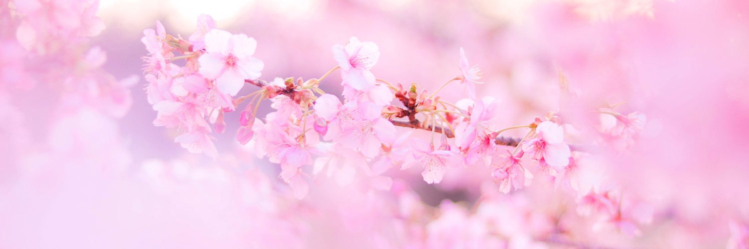 gzpink23's profile banner image