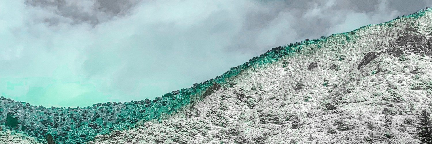 Rylee banner