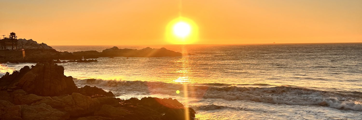 blanca meregote banner