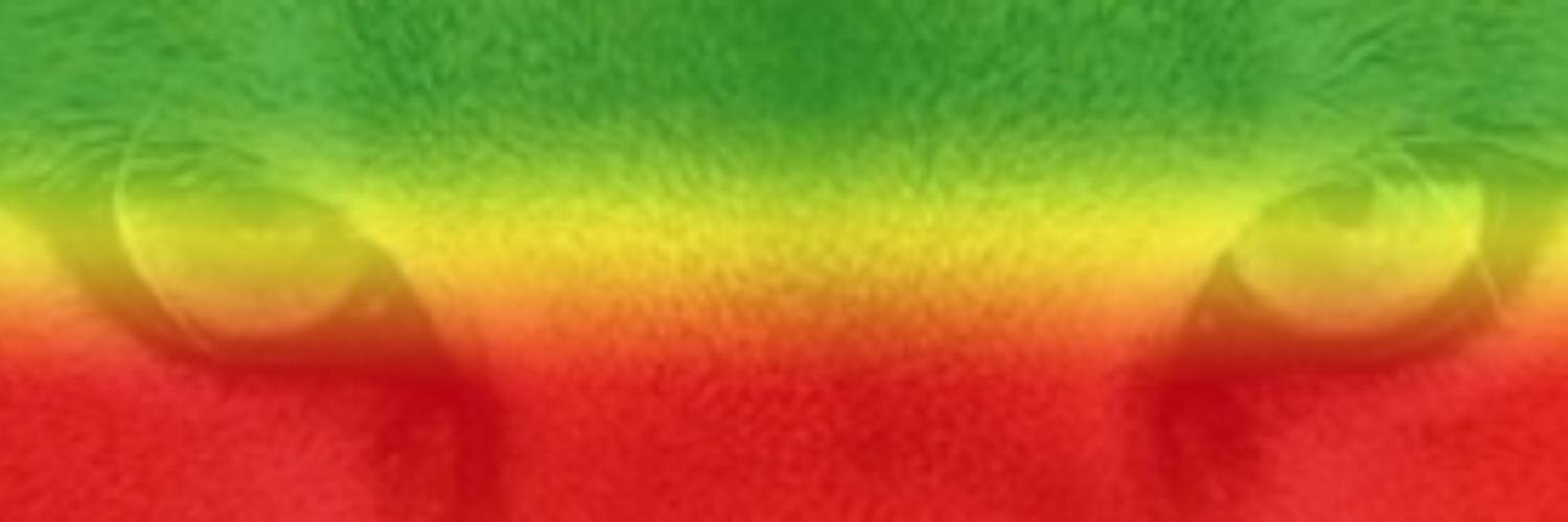 pumasereno's profile banner image