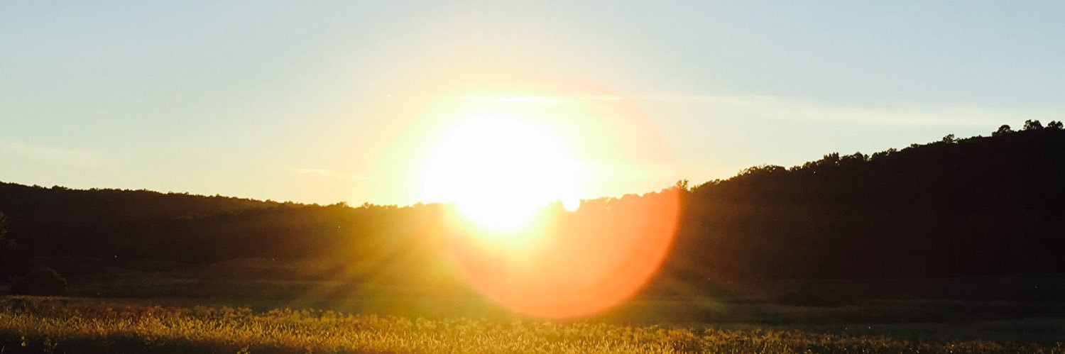 MsAlixH's profile banner image