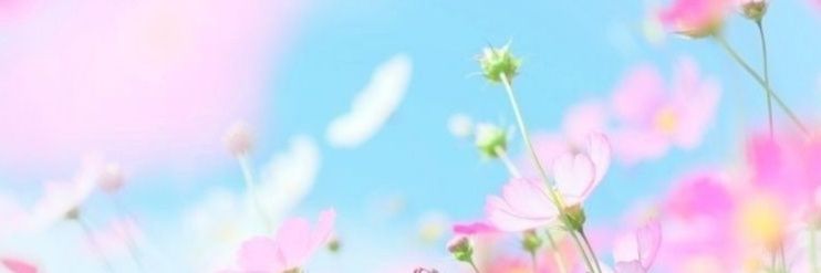 moririn_hime's profile banner image