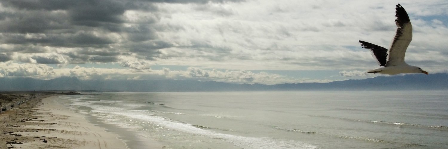 Reda EA 🤙🏼🍉 banner