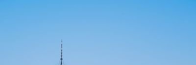 Tammy_Crypto's profile banner image