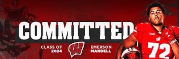 Emerson Mandell 4⭐️ Profile Banner