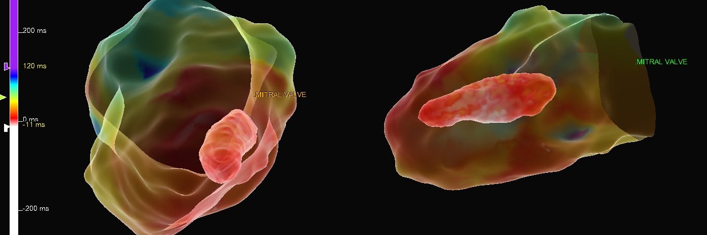 Jacqueline Held banner