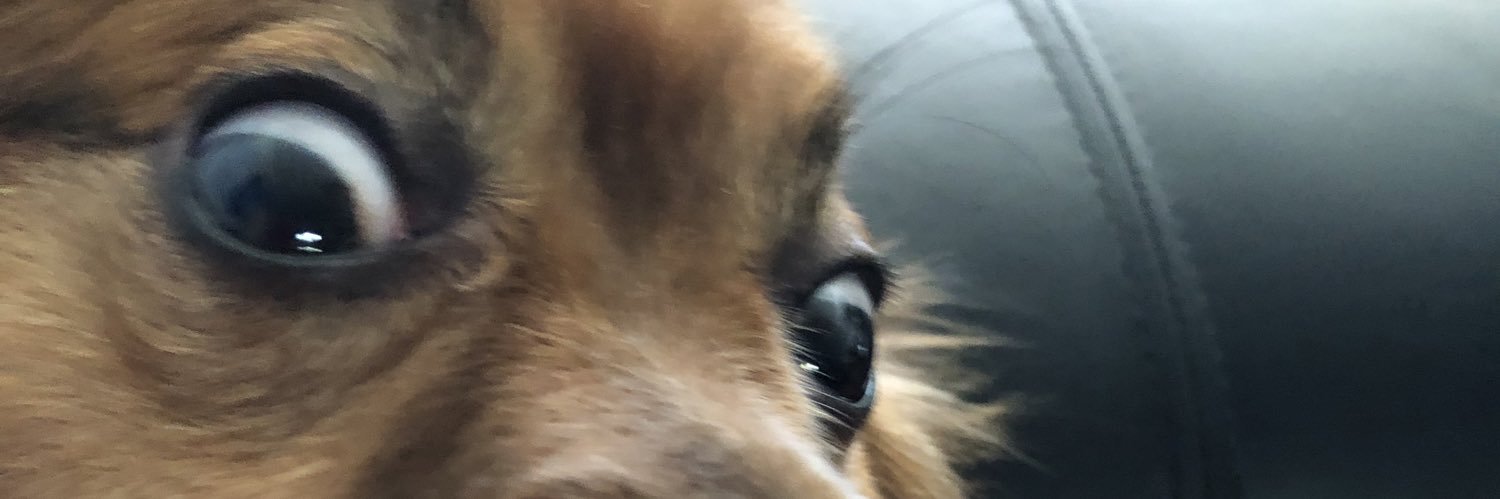 BuddingGenius banner