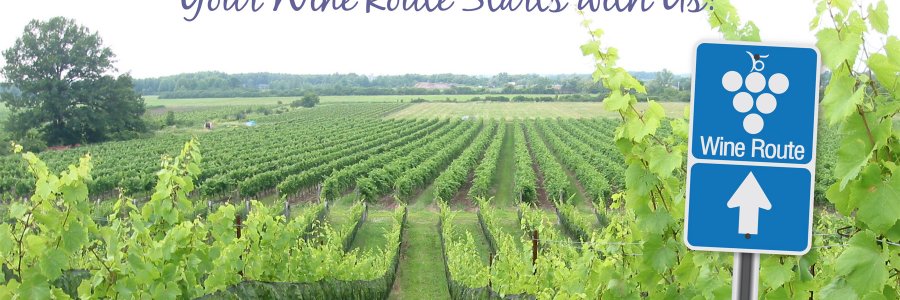 NiagaraWineToursInt banner