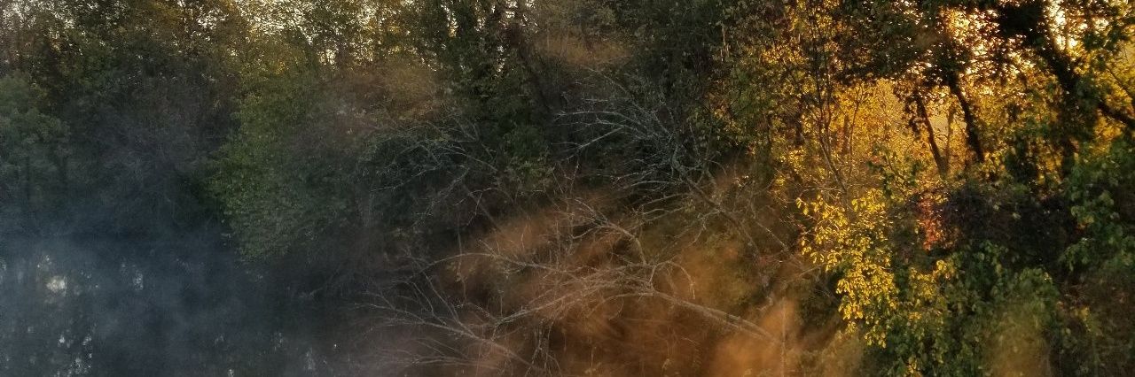 hil (they/he) banner