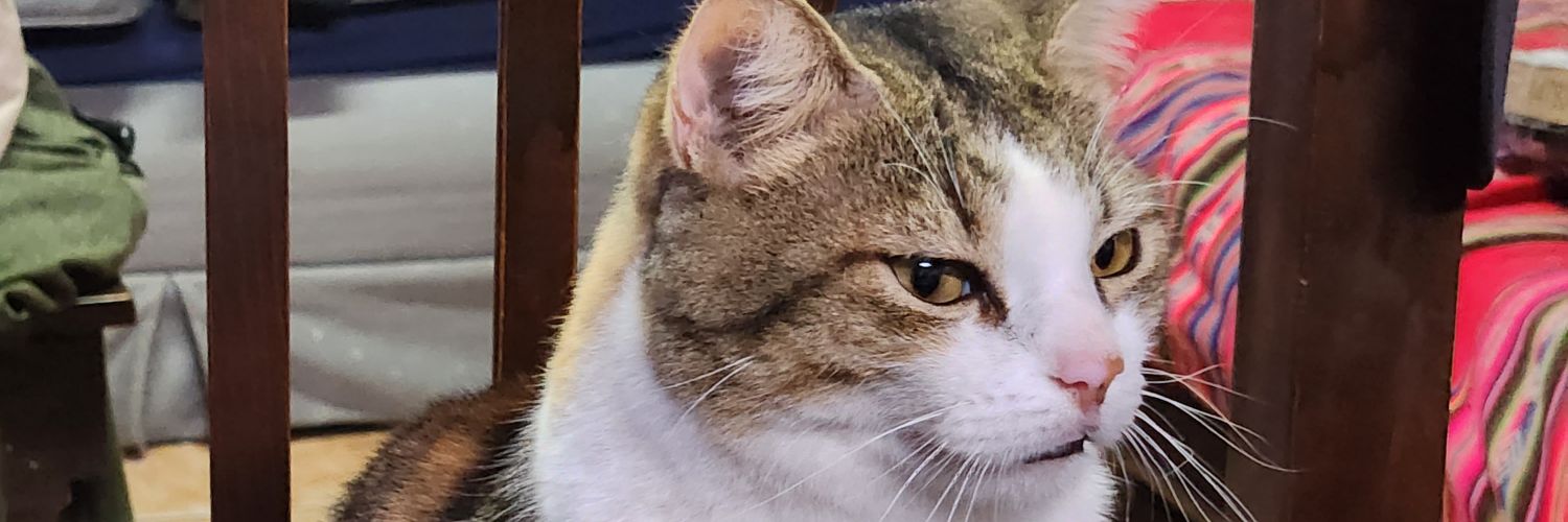 JacoboNiz's profile banner image