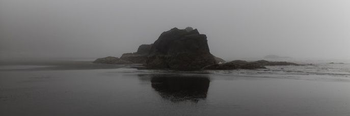 TyY banner