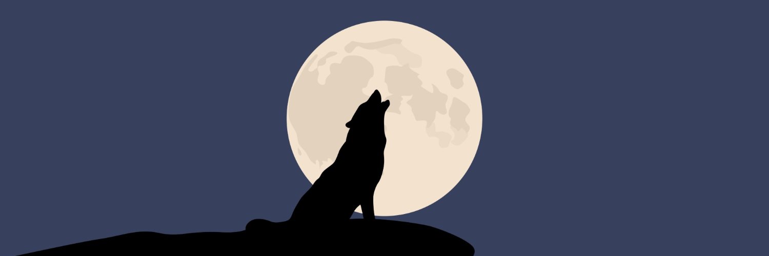 hushkies_'s profile banner image