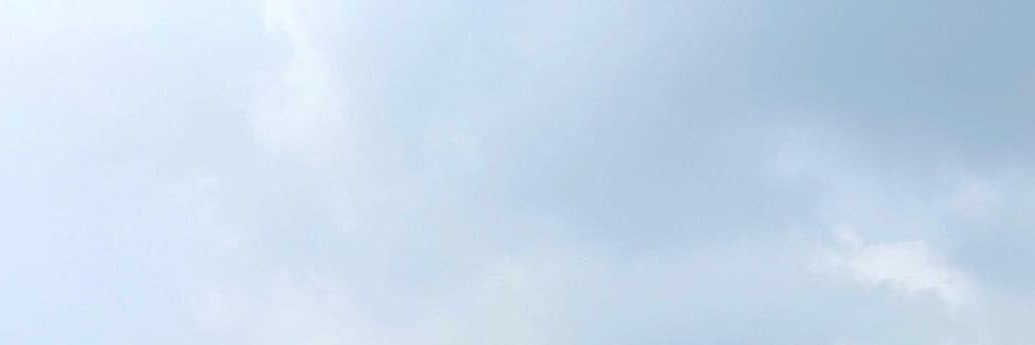 trip to vermoon banner