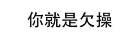 专属逗猫棒 banner
