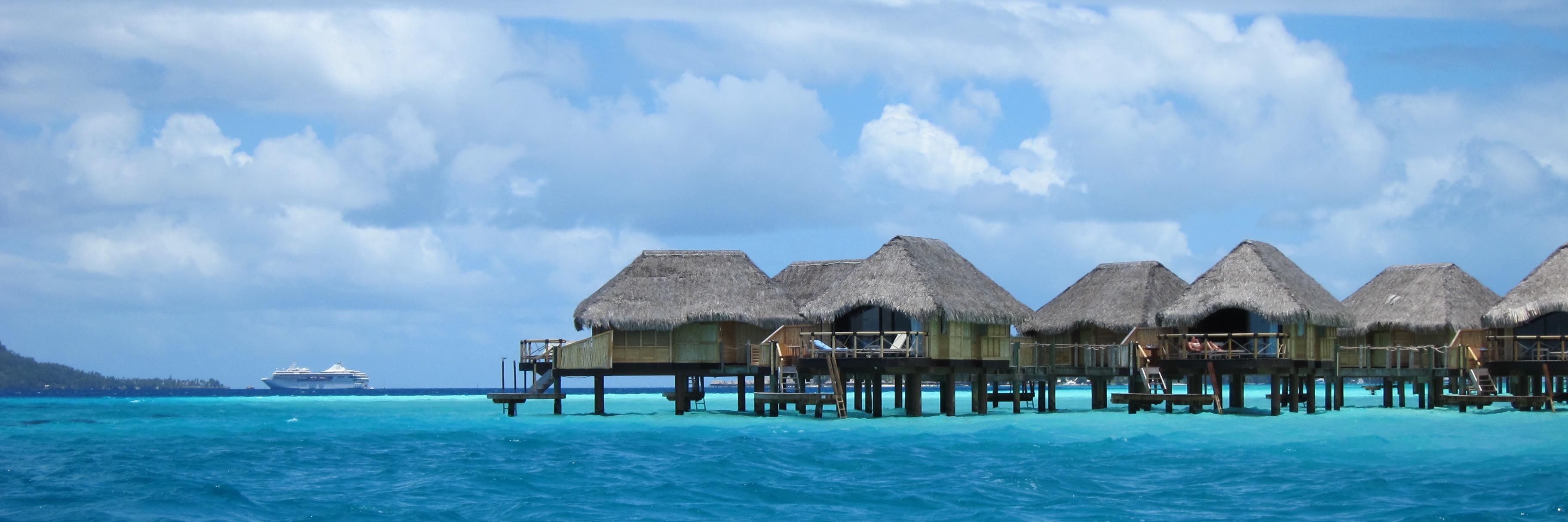 Tim Triemstra banner