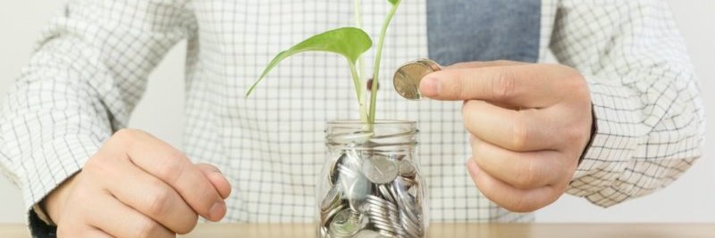 Thomas Kothuis banner