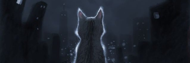 junioor_98's profile banner image
