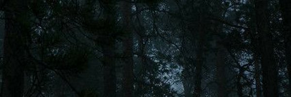 forestfl0wer Profile Banner