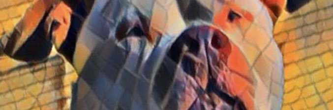 icebobs1's profile banner image