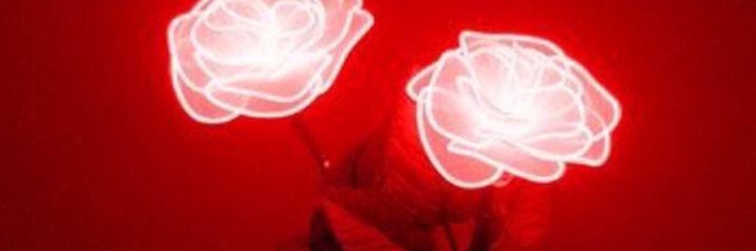 madisonfranzen's profile banner image