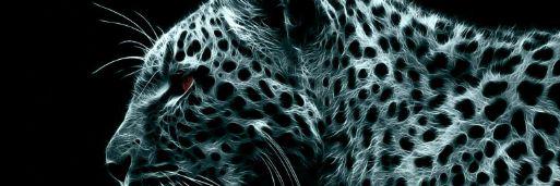 DarioParizzi's profile banner image