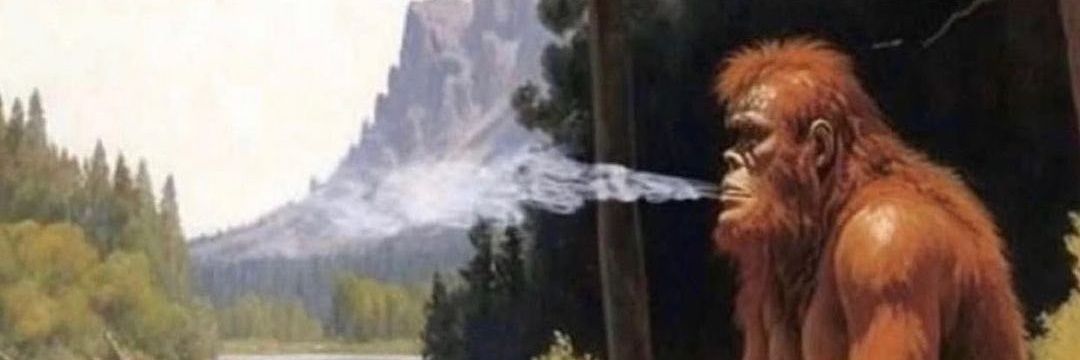 420Herbalist 🌿 banner