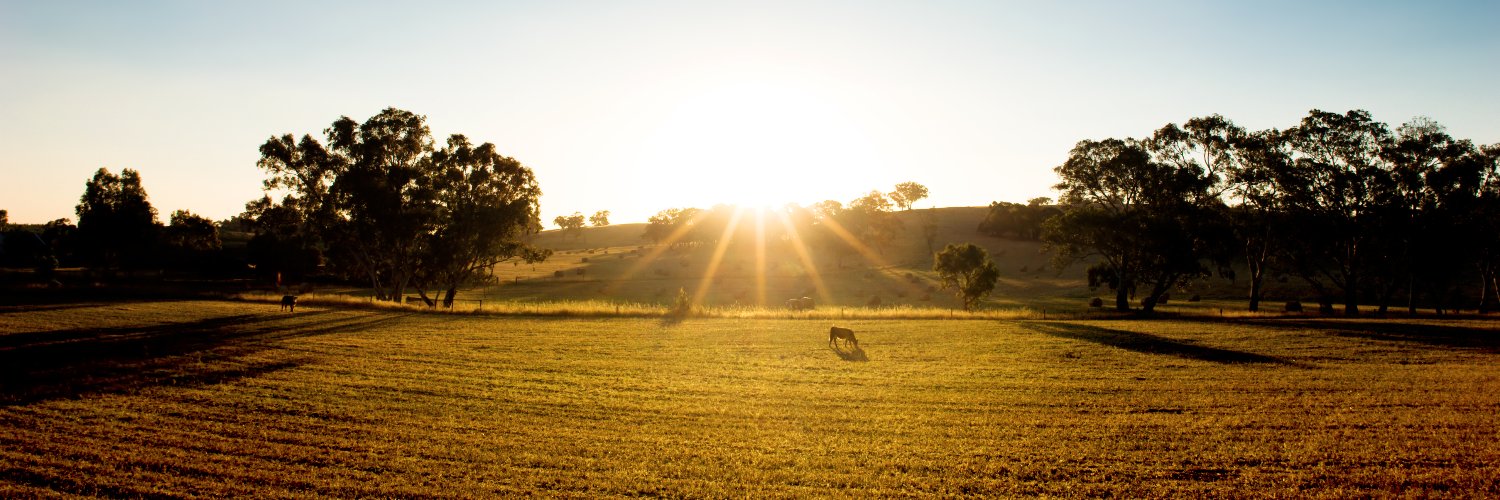 AgForce Queensland banner