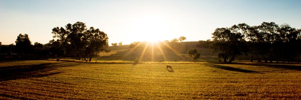 AgForceQLD Profile Banner