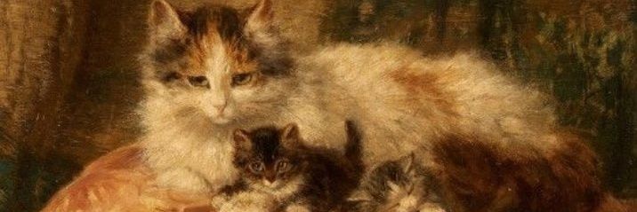 Дженни Сербхас banner