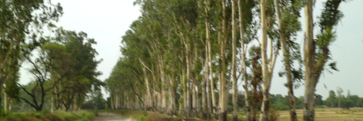 maurya__rohit's profile banner image