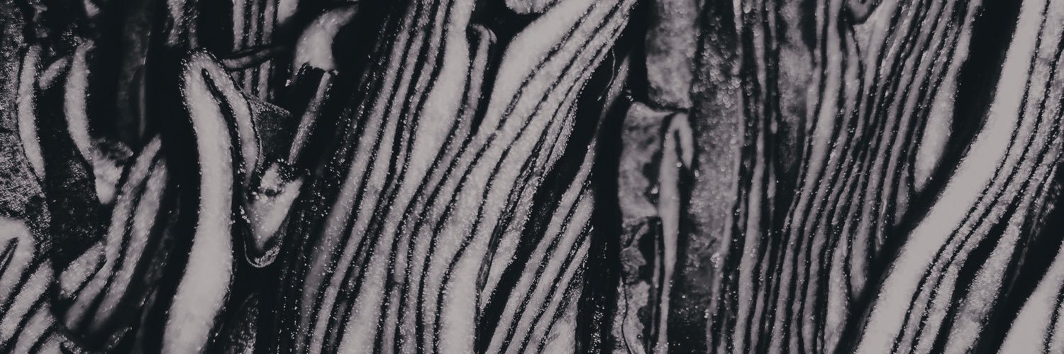 Cecilia Armand Ugon banner