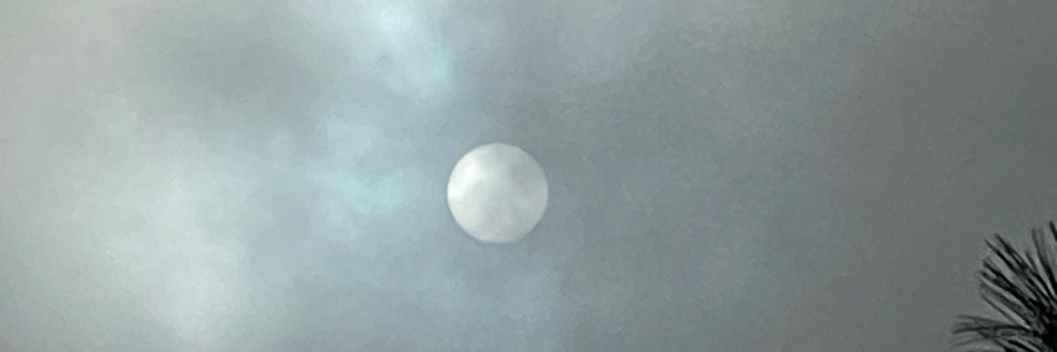 Peter Sugihara banner