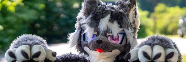 ThatZukys Profile Banner