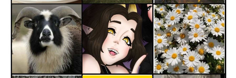 _ARI_🔞 banner