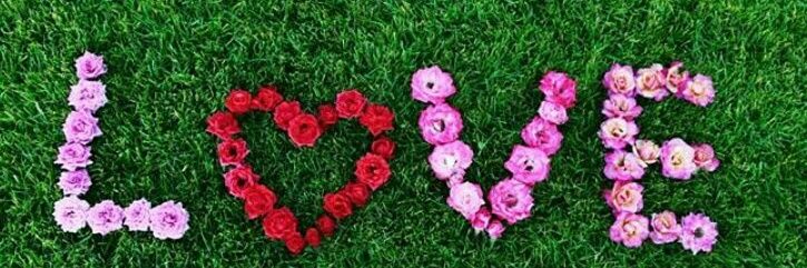 pinkEsup's profile banner image