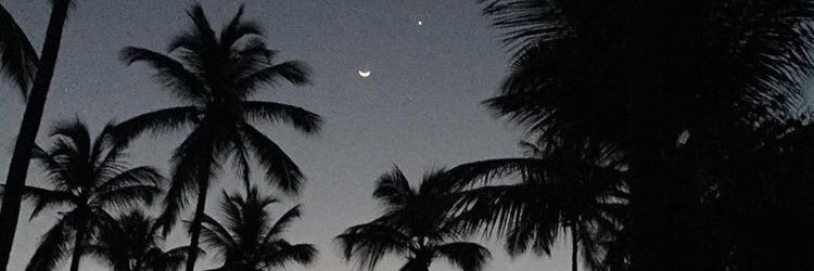 tao_como's profile banner image