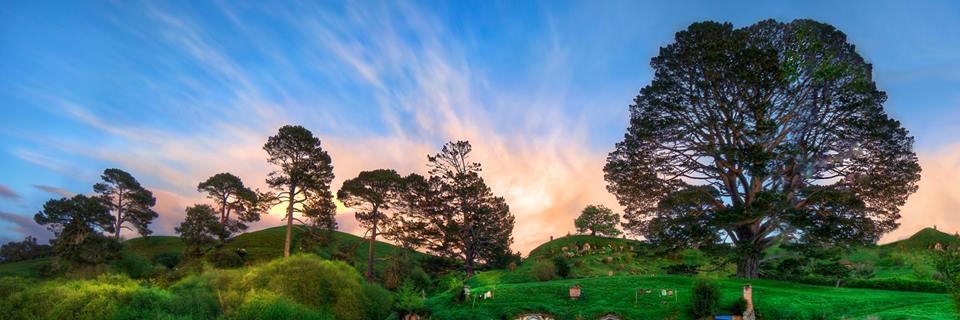 みわぱんだ【NZ在住】 banner