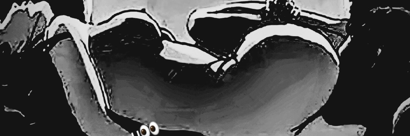 DaBigOpP216's profile banner image
