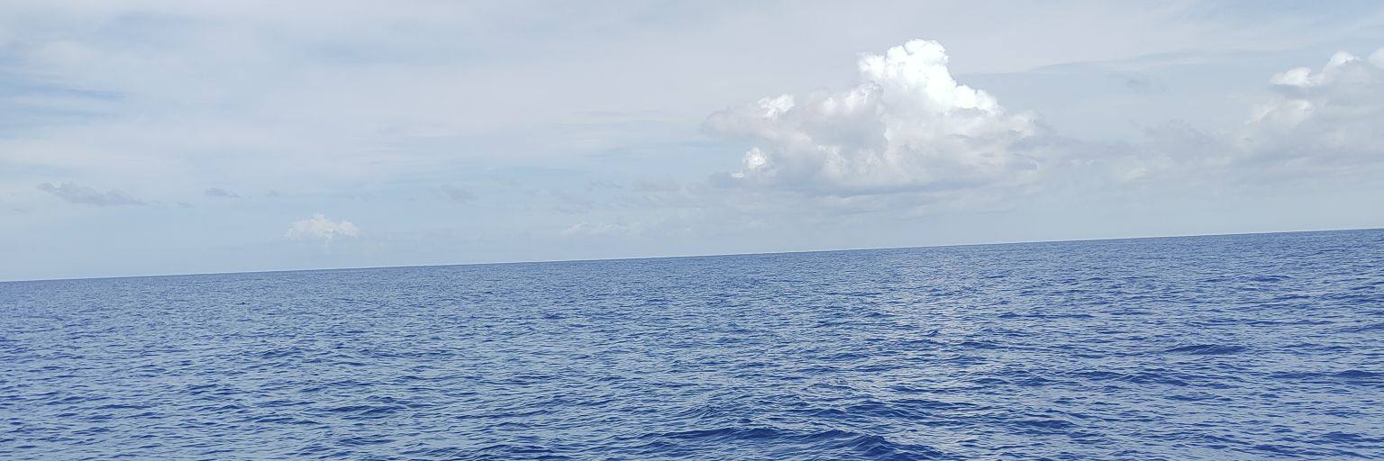 _srhmng's profile banner image