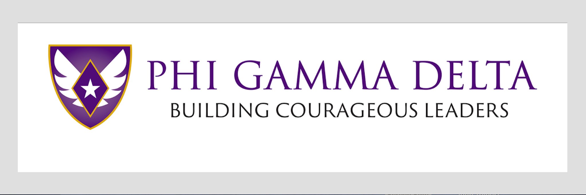 MSU Phi Gamma Delta banner