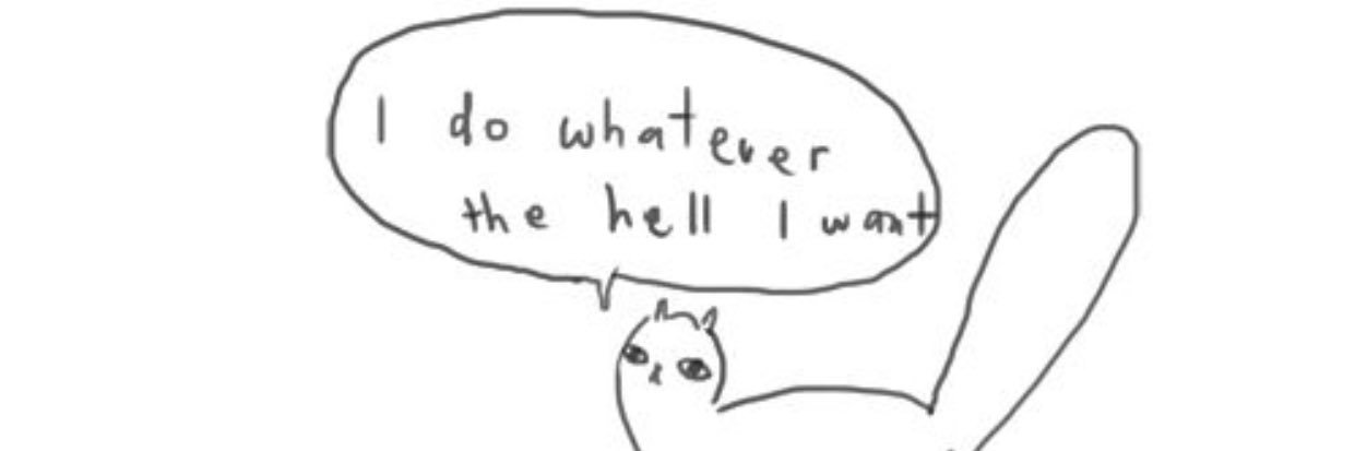 ktthemccoolest's profile banner image