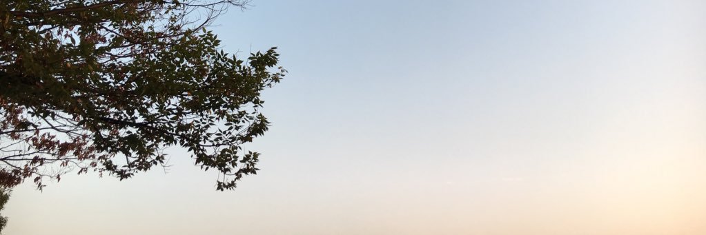 G. banner