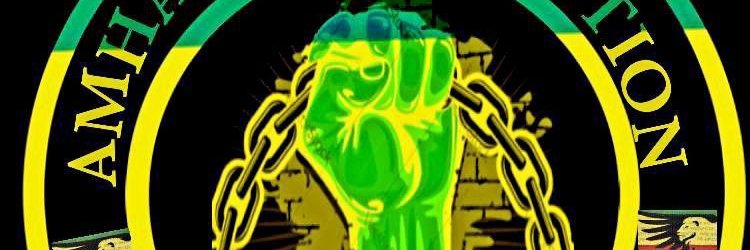 ወይፍንክች banner