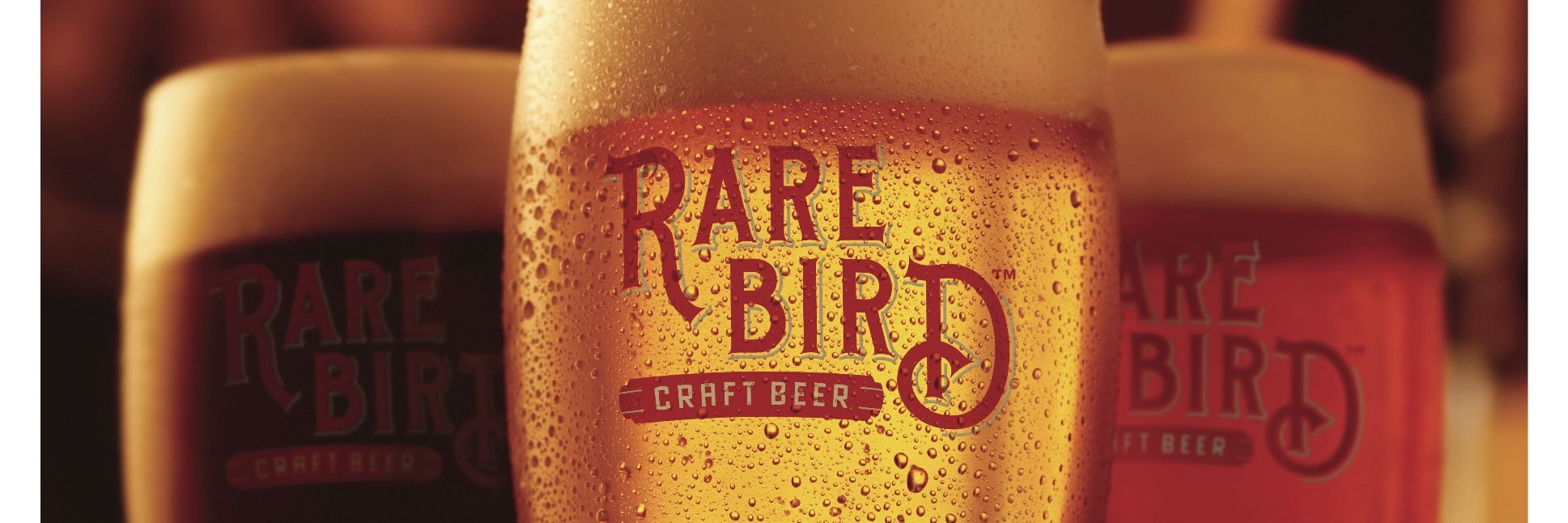 Rare Bird Craft Beer banner