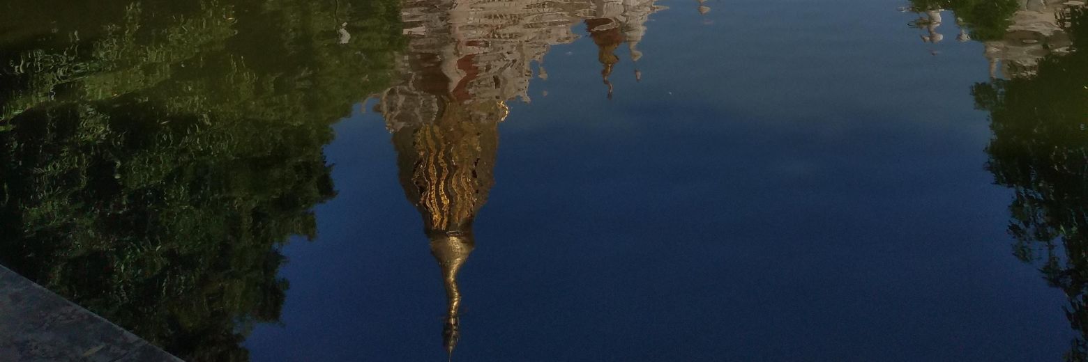 Alison Halstead🩵🏴󠁧󠁢󠁥󠁮󠁧󠁿🇬🇧🇮🇱 banner