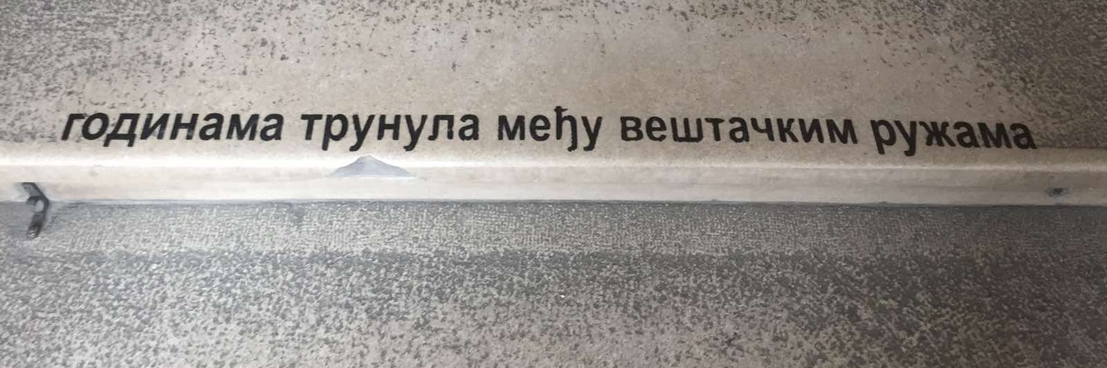 samrttajm 🧀🥓🌶️ 🇵🇸 banner