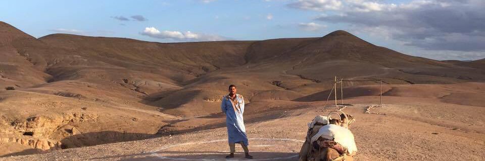 Leyla A. 💀 banner