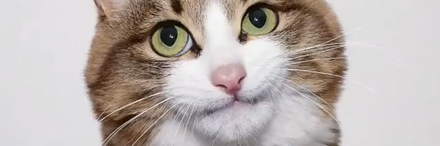 marylums's profile banner image